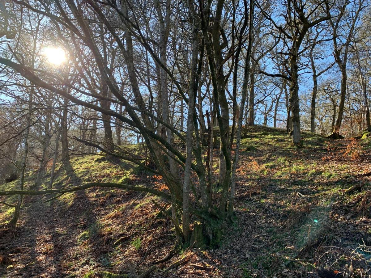 Loch Ness Woodland Pods Hotell Drumnadrochit Eksteriør bilde