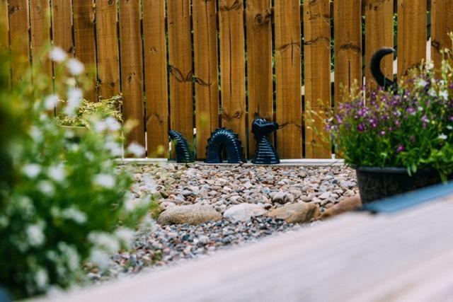 Loch Ness Woodland Pods Hotell Drumnadrochit Eksteriør bilde